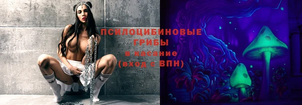 дмт Армянск