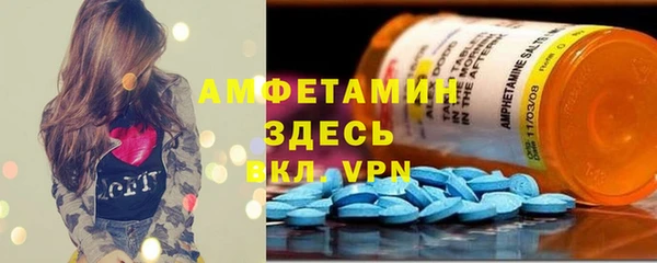 гидра Аркадак