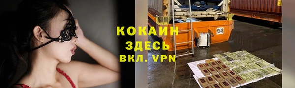 мяу мяу мука Арсеньев
