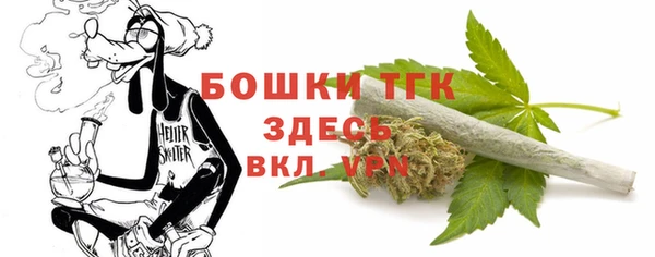 гидра Аркадак