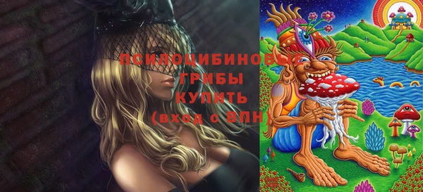 мяу мяу мука Арсеньев