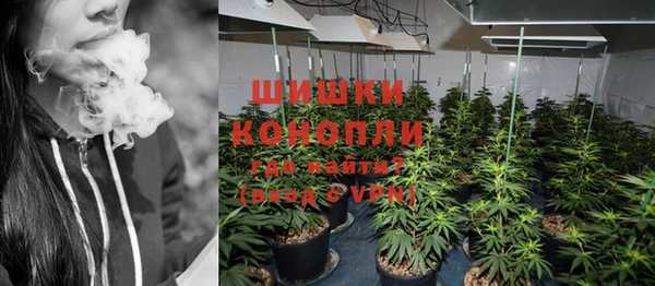гидра Аркадак