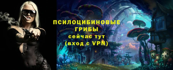 мяу мяу мука Арсеньев