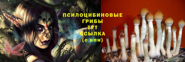 дмт Армянск