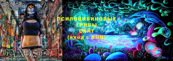 дмт Армянск