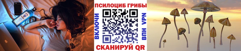 Галлюциногенные грибы Psilocybine cubensis  Купить  Красавино 