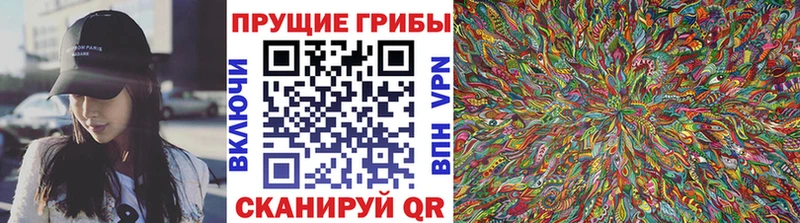 Псилоцибиновые грибы Psilocybine cubensis Красавино