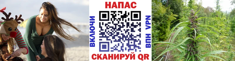 Купить где  Красавино  Канабис тримм 